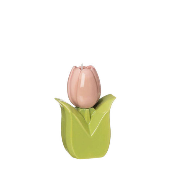Accendi un tulipano -  Ilary Queen