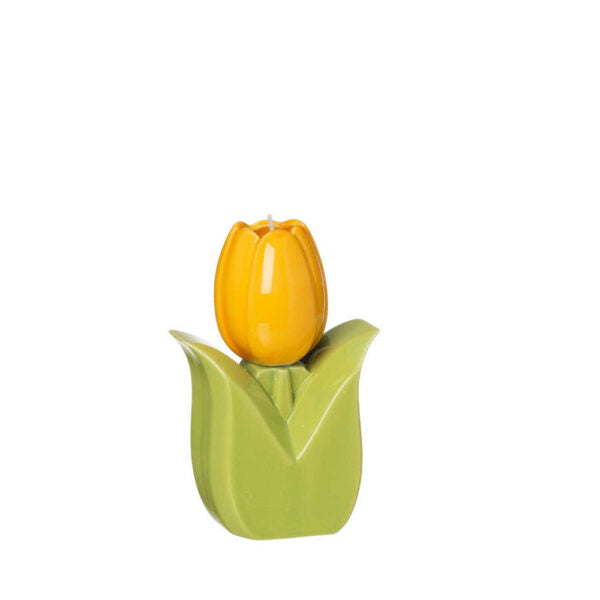 Accendi un tulipano -  Ilary Queen