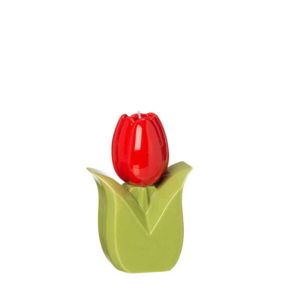 Accendi un tulipano -  Ilary Queen