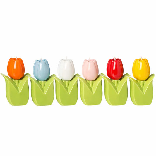 Accendi un tulipano -  Ilary Queen