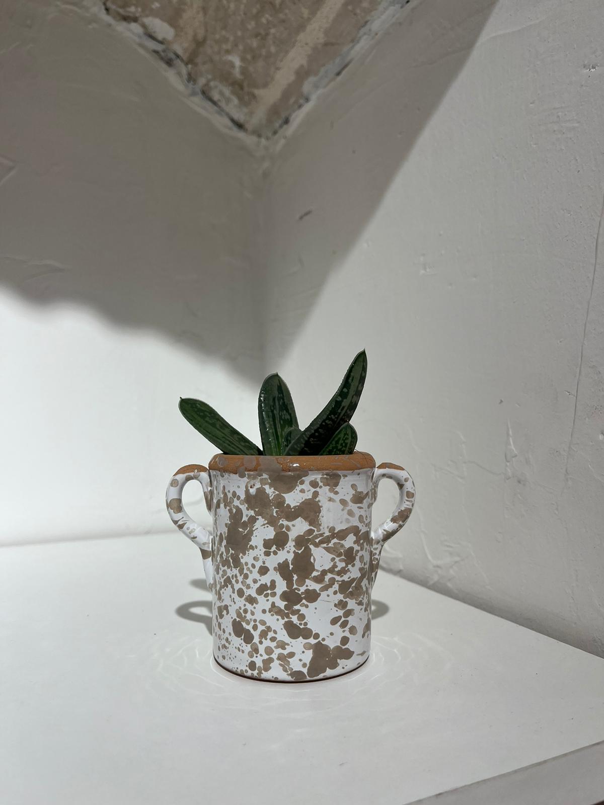 Capasa Pugliese - Ceramiche Artigianali