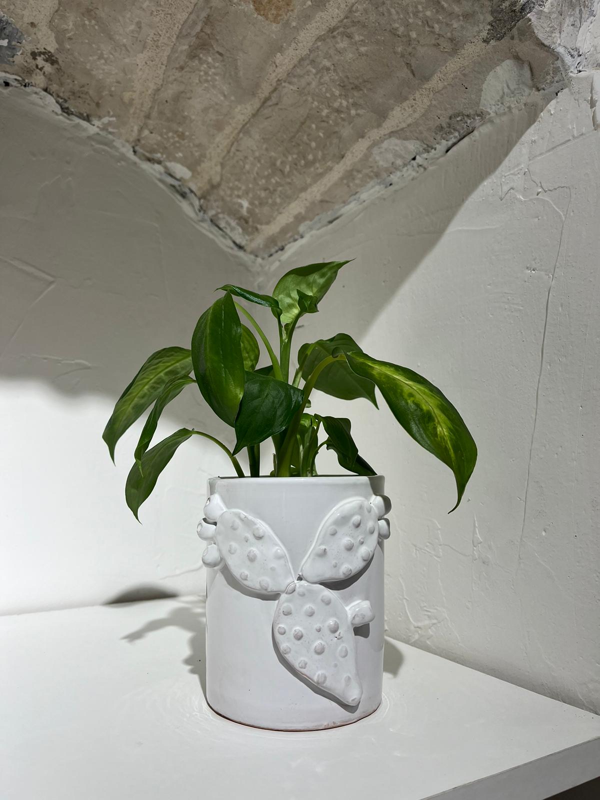 Vaso Ceramiche Pugliesi Artigianali