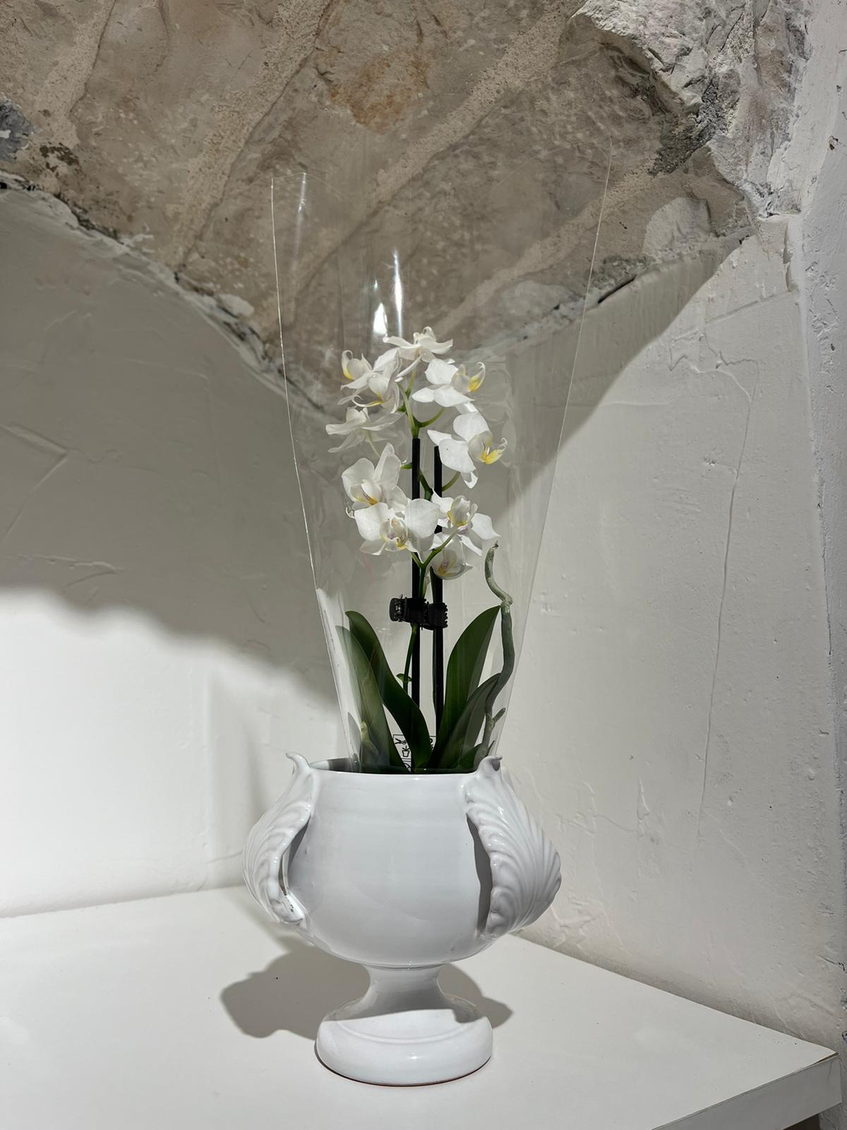 Vaso Ceramiche Pugliesi Artigianali